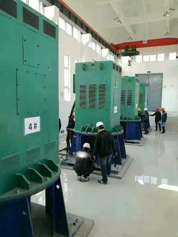 YKK4004-6/250KW某污水处理厂使用我厂的立式高压电机安装现场